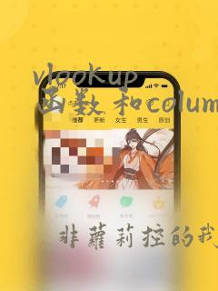 vlookup函数和column函数结合使用