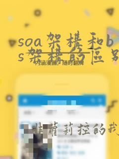soa架构和bs架构的区别