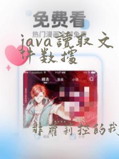 java读取文件数据
