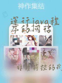 运行java程序的网站