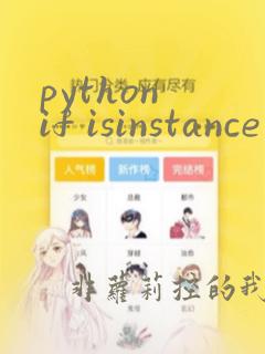 python if isinstance