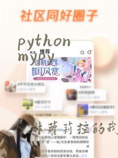 python mypy