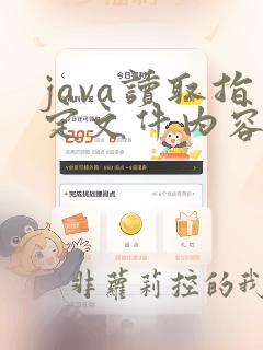 java读取指定文件内容