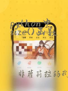 python中size()函数
