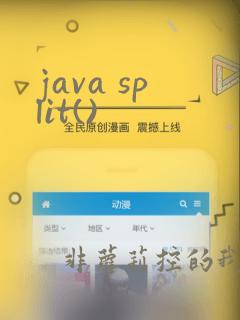 java split()