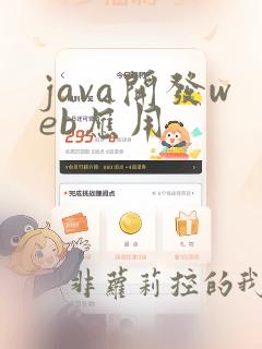 java开发web应用