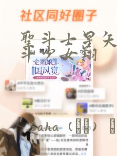 圣斗士星矢 圣斗少女翔