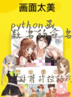 python函数名的命名规则