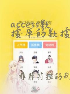 access数据库的数据类型