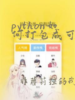 python如何打包成可执行文件