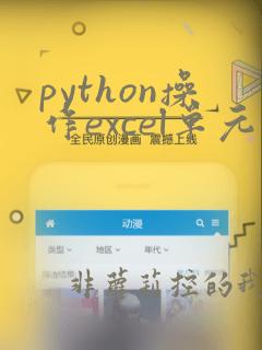 python操作excel单元格