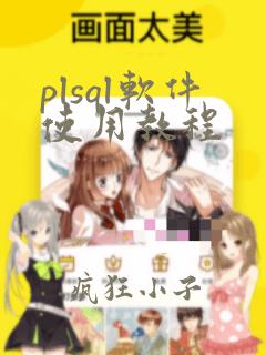 plsql软件使用教程