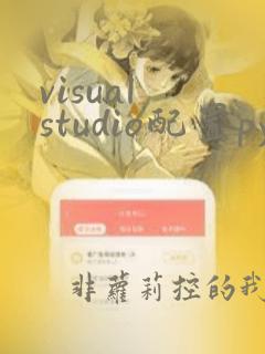 visual studio配置python环境