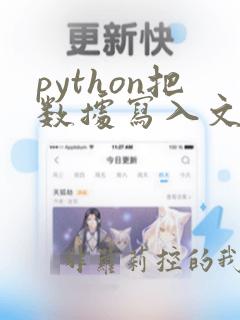 python把数据写入文件