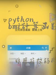 python bmi计算函数