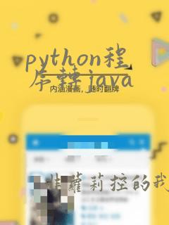 python程序转java