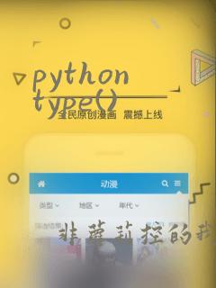 python type()