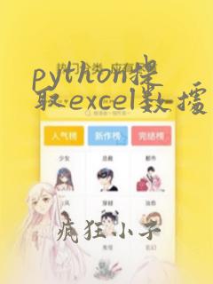 python提取excel数据并输出