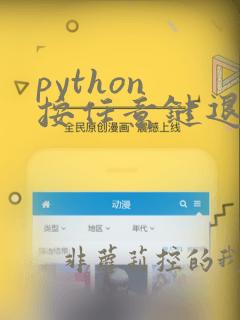 python 按任意键退出程序