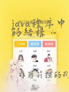 java程序中的结构