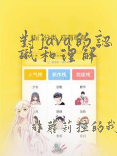 对java的认识和理解