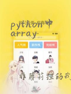python中array