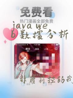 java web 数据分析