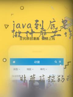 java到底是做什么工作