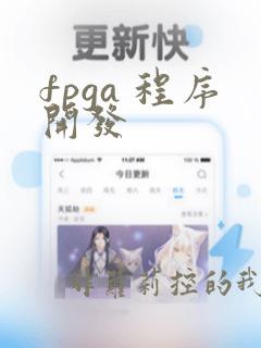 fpga 程序开发