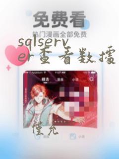 sqlserver查看数据库编码