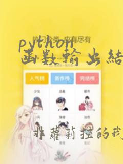 python 函数输出结果