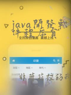java开发软件程序员