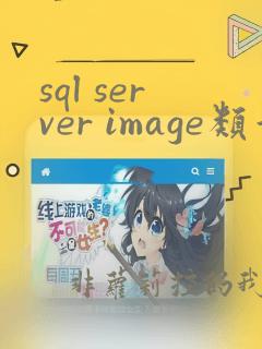 sql server image类型转字符串