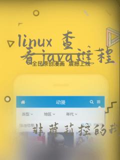 linux 查看java进程命令