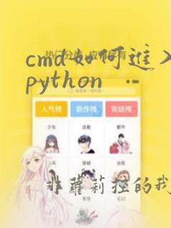 cmd如何进入python