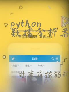 python 数据分析案例