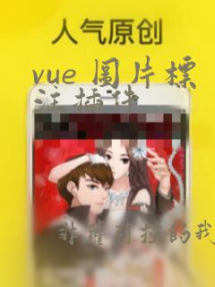 vue 图片标注插件