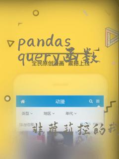 pandas query函数