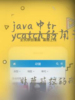 java中trycatch的用法