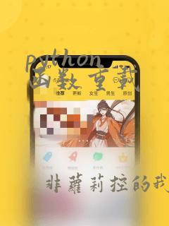 python 函数重载