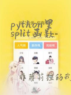 python里split函数