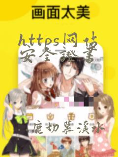 https网站安全证书
