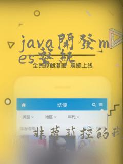 java开发mes系统
