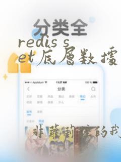 redis set底层数据结构