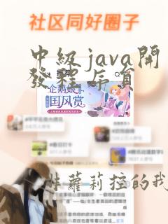 中级java开发程序员