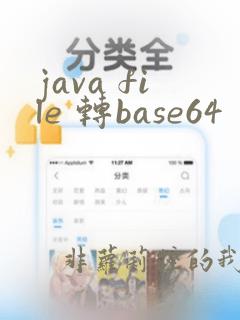 java file 转base64