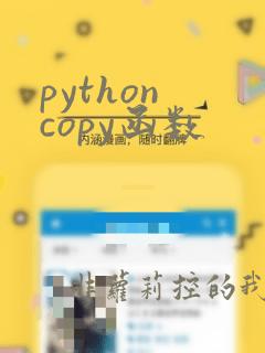 python copy函数