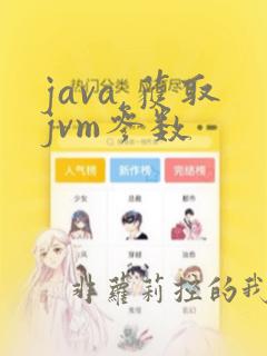 java 获取jvm参数