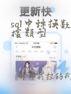 sql中转换数据类型