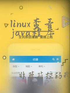 linux查看java程序
